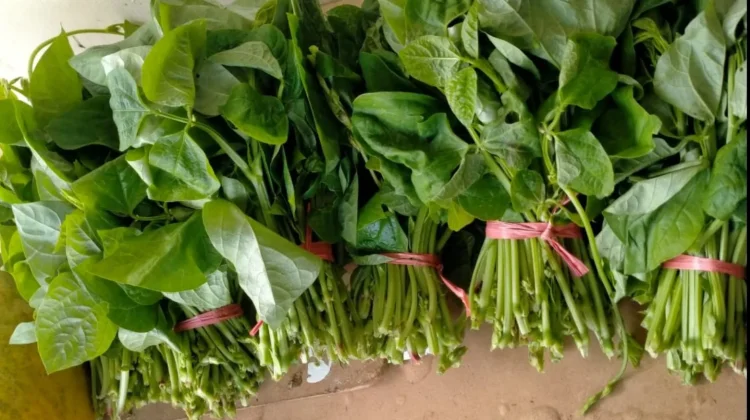 Daun Lembayung, Sayuran Tradisional Masih Diminati