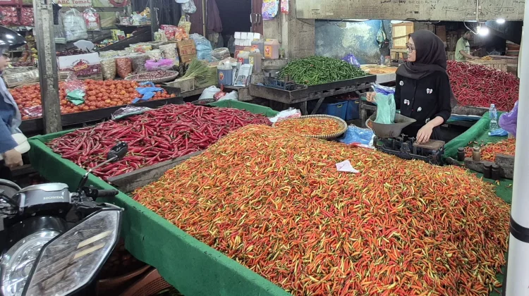 Stok Melimpah, Harga Cabai Alami Penurunan Pasca Lebaran