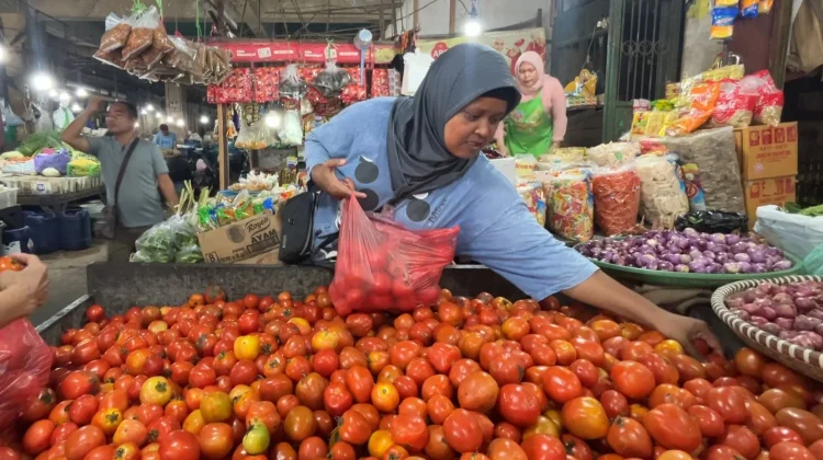 Harga Tomat Meroket hingga Tiga Kali Lipat Pasca Lebaran