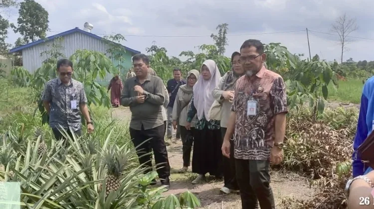 Direktur Hilirisasi Hortikultura Monitoring Bantuan dan Capaian LTT Padi Batola