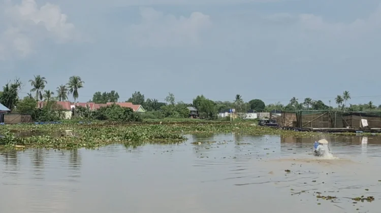 Fenomena Pampangan di Sungai Hambat Mobilitas Transportasi Air