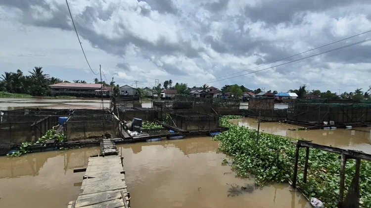 Pampangan Hantam Keramba di Banua Anyar, Pembudi Daya Alami Kerusakan Rangka