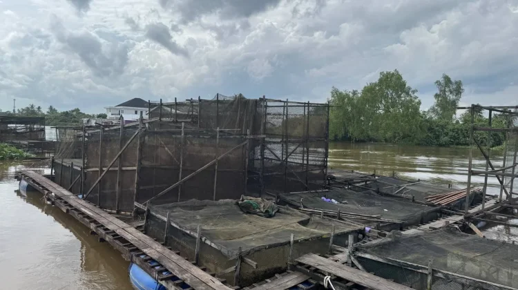Pendangkalan saat Kemarau Jadi Kekhawatiran Pembudi Daya Ikan di Banua Anyar