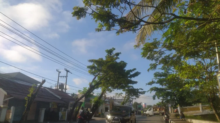BMKG: Kalsel Hari ini Umumnya Cerah Berawan