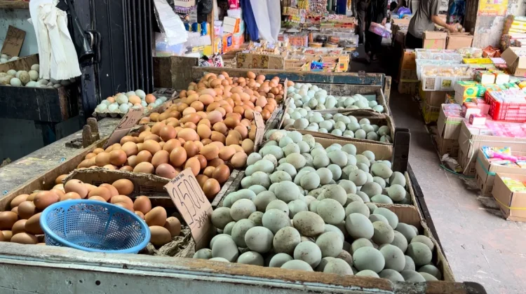 Harga Telur Ayam Ras Turun Pasca Lebaran