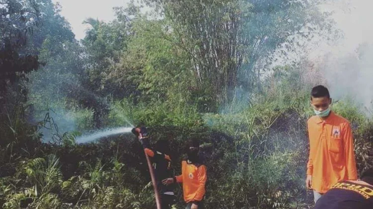 El Nino Sebabkan Kemarau Lebih Panjang, Kemenhut Waspadai Lonjakan Karhutla
