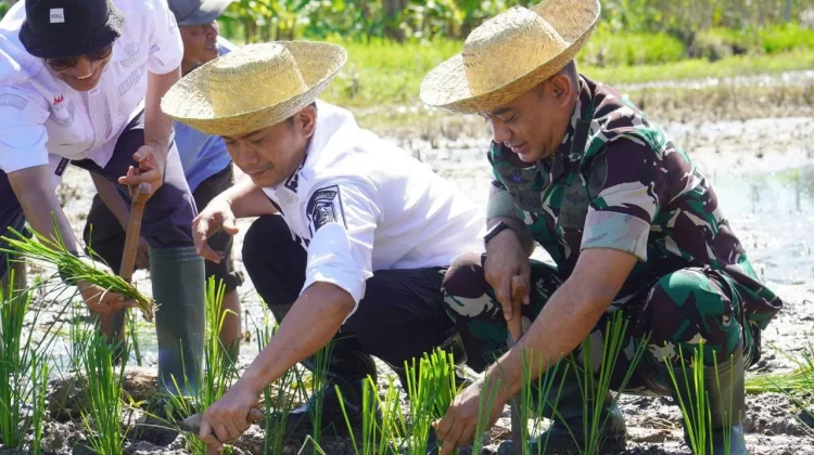 Sawah Terancam Beton, Wali Kota Banjarmasin Kirim Sinyal Keras