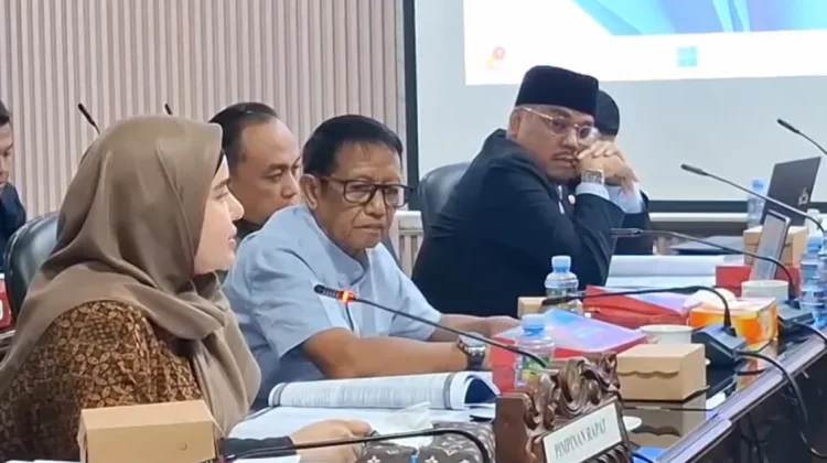 Pansus IV Soroti Tingginya AKI dan AKB Kalsel