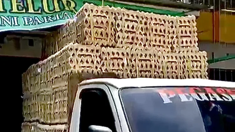 Harga Telur Ayam di Banjarbaru Kembali Turun