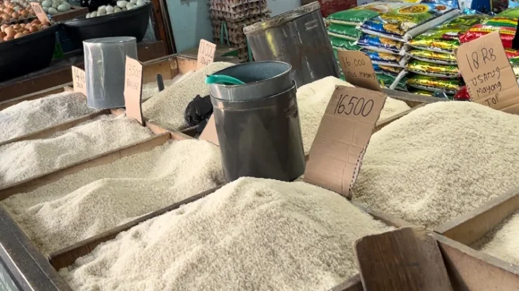 Harga Beras Lokal Banjar Masih Bertahan Tinggi