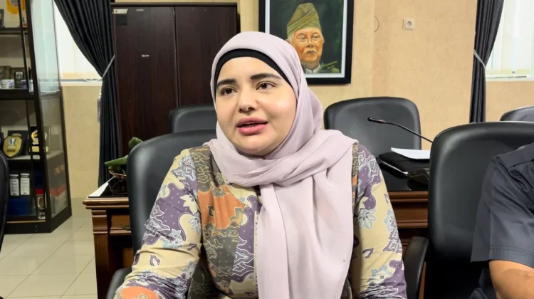 Komisi IV DPRD Kalsel Soroti Rencana HUT RSUD Ulin di Jakarta