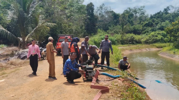 Antisipasi Kemarau BPBD Balangan Tingkatkan Kapasitas Satlinmas