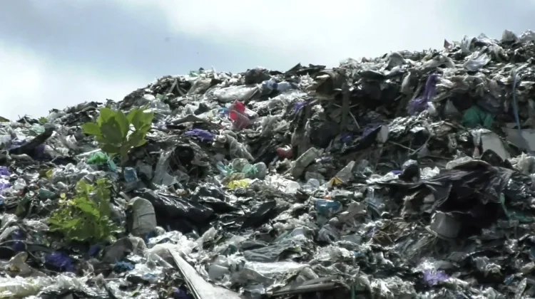 Kesadaran Masyarakat Kunci Atasi Masalah Sampah di Banjarmasin