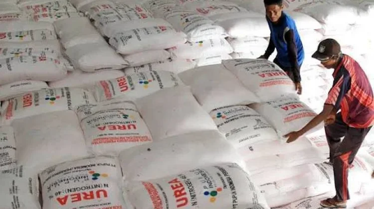 DPKP Kalsel Perketat Pengawasan Penyaluran Pupuk Subsidi
