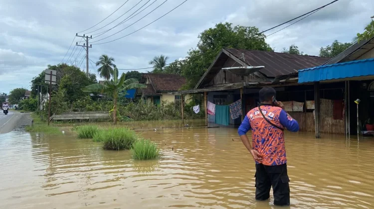 Curah Hujan Tinggi, Tiga Kecamatan di HST Direndam Banjir