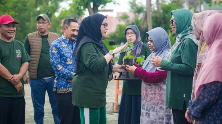 Kartini Hebat Banjarbaru, Wali Kota Lisa Halaby Bagikan Bibit Cabai dan Terong