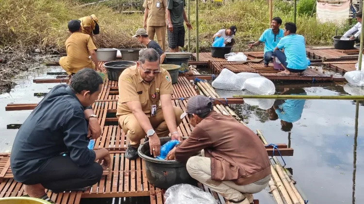 Dislautkan Kalsel Dorong Haruan Estate