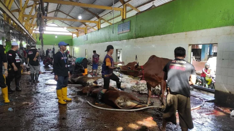 Pemko Banjarmasin Warning Panitia Kurban Soal Plastik dan Limbah Jeroan!