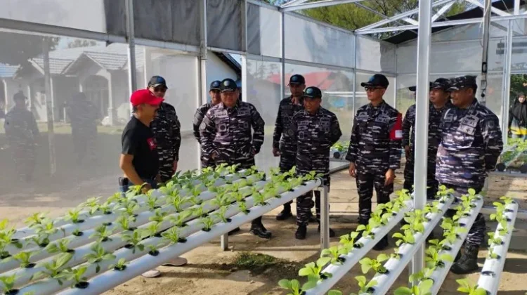 Perkuat Ketahanan Pangan DPKP Kalsel Bersama TNI AL Kembangkan Pertanian Terpadu