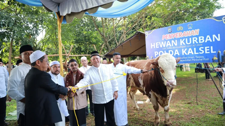 Polda Kalsel Kurban 159 Ekor Sapi dan Kambing