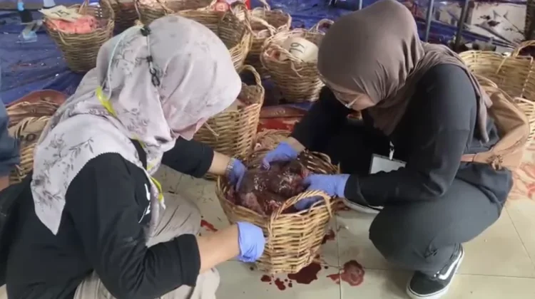 Sisir Tempat Penyembelihan Hewan Kurban, DKP3 Banjarmasin Beberkan Hasilnya: