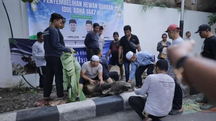 Sekretariat Dewan Bersama BPD Kalsel Berbagi Hewan Qurban