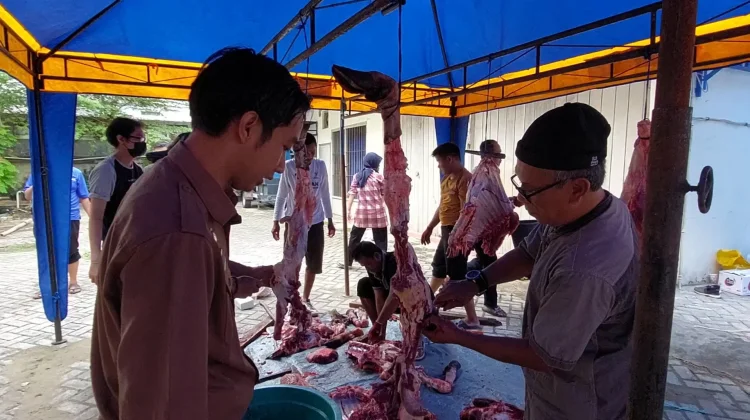 Soroti Limbah Kurban, Warga Diminta Kelola Limbah Pemotongan Sesuai Standar