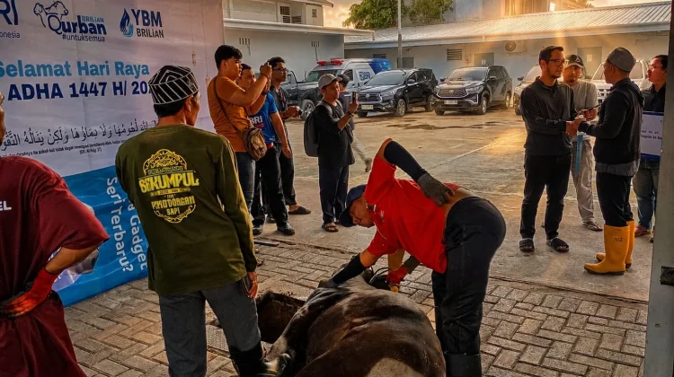 BRI Region 14 Banjarmasin Tebar Kepedulian Melalui Penyaluran Hewan Kurban