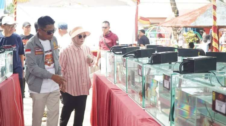 Kontes Ikan Hias Wali Kota Cup 2026, Komunitas Berkumpul, UMKM Panen Pembeli