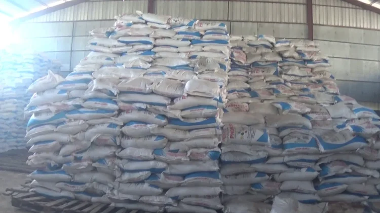 Realisasi Pupuk Bersubsidi di Tabalong Rendah, Berimbas pada Pengurangan Alokasi