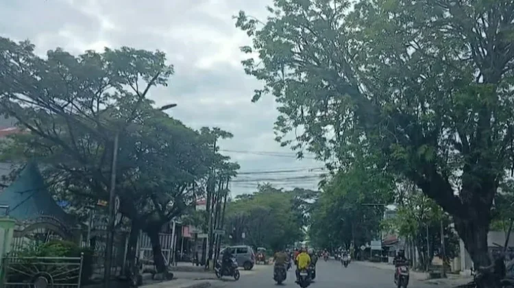 BMKG: Kalsel Hari ini Cerah Berawan