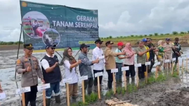 UPT Kementan Sukseskan Giat Tanam Serentak di Batola