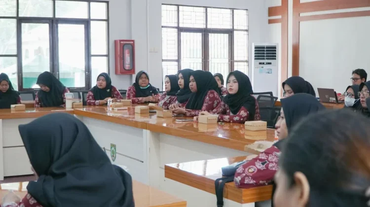 Sosialisasi Katana, BPBD Balangan Libatkan Puluhan Bidan