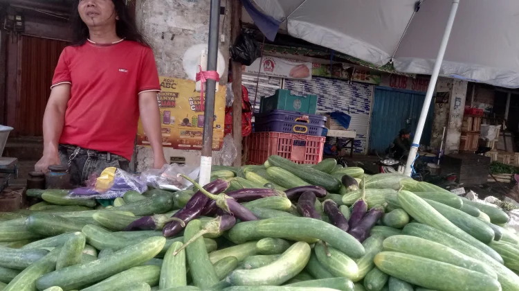 Buah Timun Melimpah, Harga Dipasaran Melemah