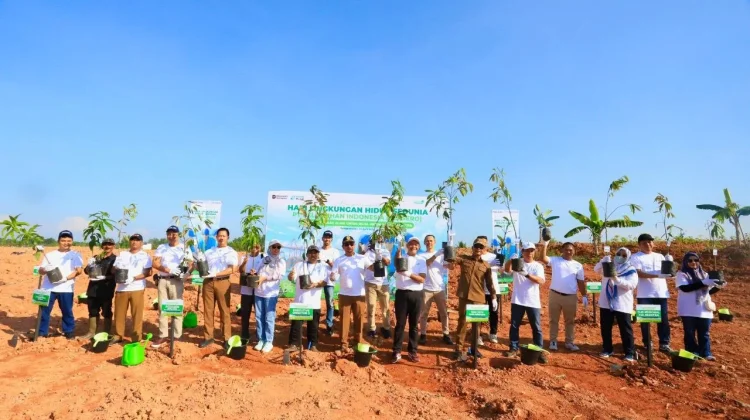 Pelindo Tanam 2.500 Pohon di Banjarmasin