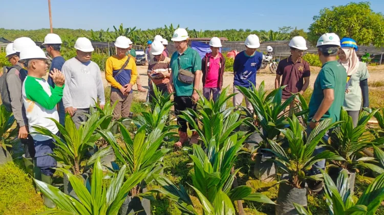 Dorong Produktivitas Petani, PT BCL dan PT AAL-1 Bekali BUMDes Budidaya Sawit