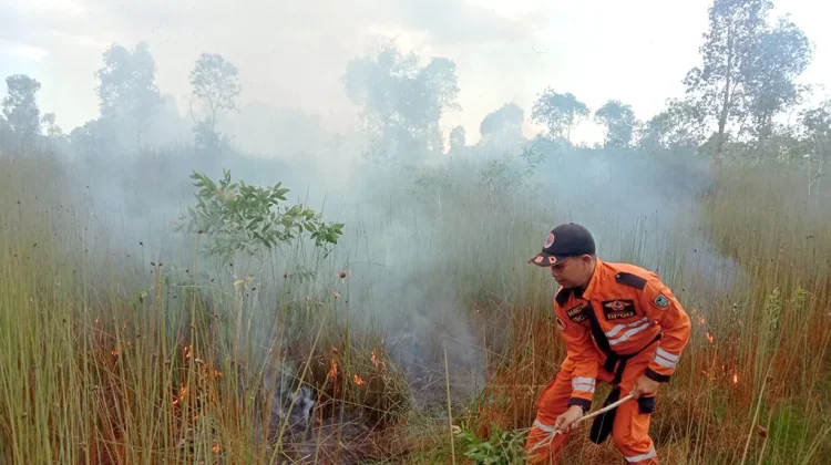 Curah Hujan Menurun, Pemprov Kalsel Tingkatkan Kesiapsiagaan Karhutla