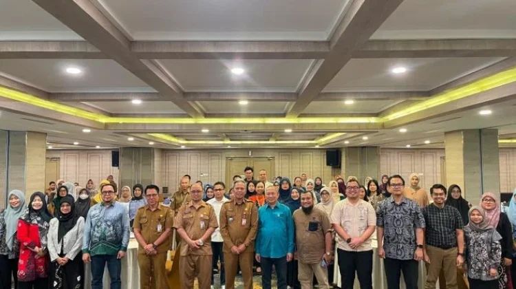 Dinkes Kalsel Perkuat Evaluasi AMPSR, Tekan Kematian Ibu dan Bayi
