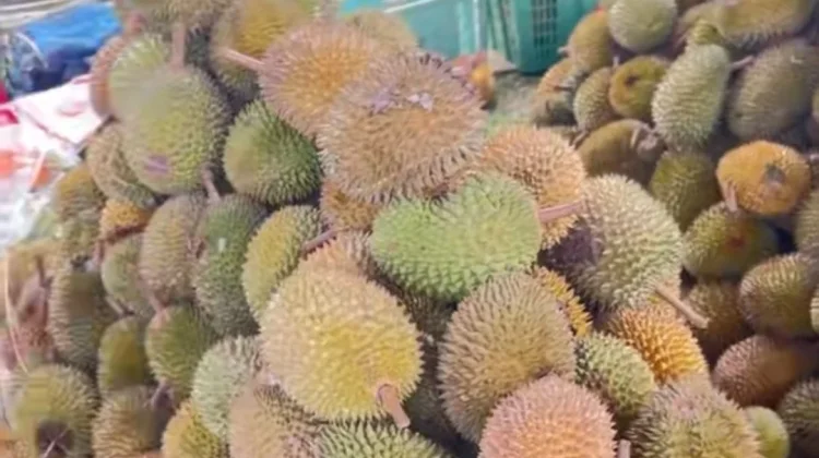 Panen Raya,Buah Durian Banjiri Kota Banjarmasin