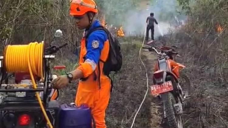 BPBD Kalsel Tangani Dua Titik Karhutla di Banjarbaru