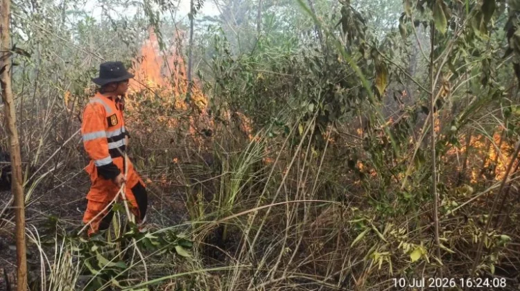 TRC BPBD Kalsel Padamkan Tiga Titik Karhutla di Banjarbaru