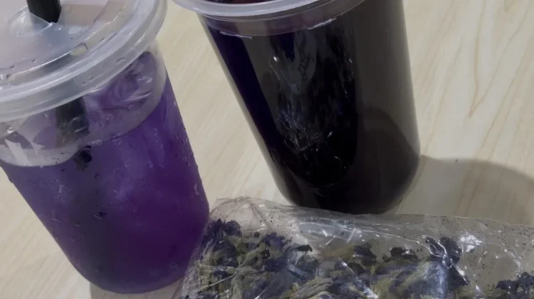Minuman Bunga Telang Tawarkan Manfaat Kesehatan