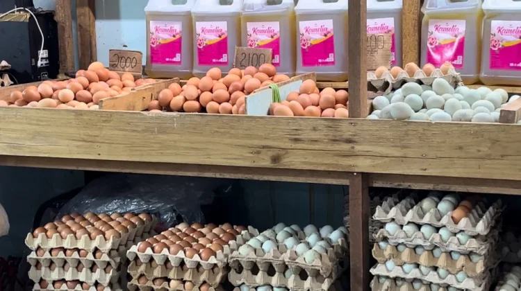 Harga Telur Ayam Diprediksi Kembali Stabil, Angka Segera Bergerak Naik