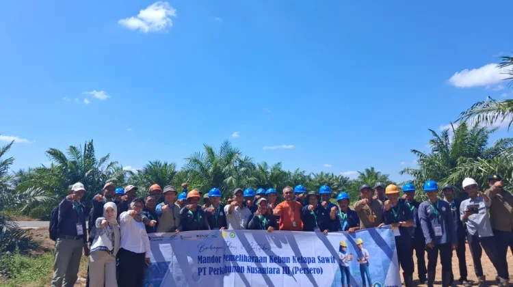 Perkuat SDM Perkebunan, Kementan Sertifikasi 25 Mandor Kelapa Sawit di Kalimantan