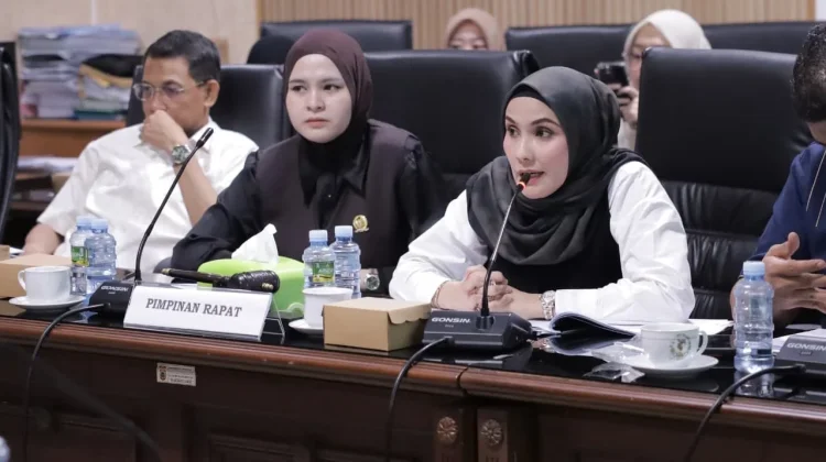 Komisi III DPRD Kalsel Bahas Program Kerja ESDM dan DLH Tahun 2027