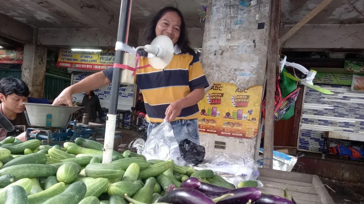 Pasokan Berkurang, Harga Terong Ungu di Banjarmasin Melonjak