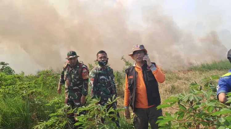 Karhutla Capai 17 Kejadian, Banjar Berlakukan Siaga Darurat hingga September