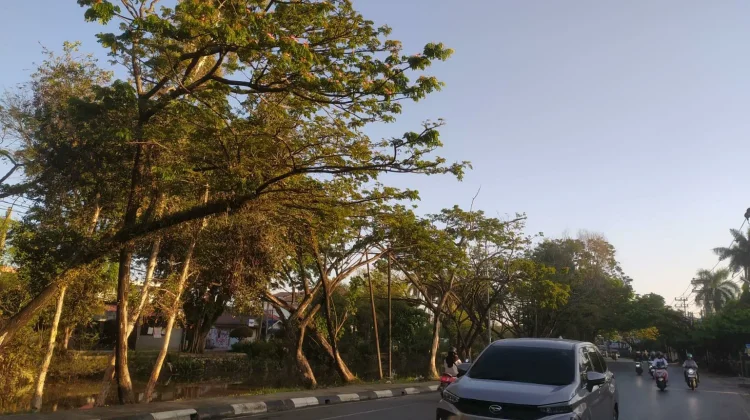 Kalsel Hari ini Umumnya Cerah hingga Cerah Berawan