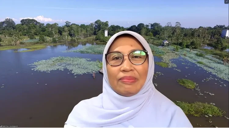Lahan Rawa Harapan Masa Depan Produksi Pangan Banua