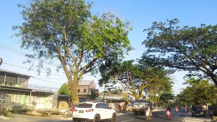 Kalsel Hari ini Umumnya Cerah Berawan